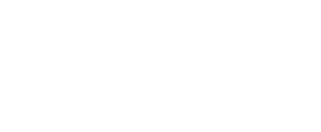 Logo Bolle Allround Services