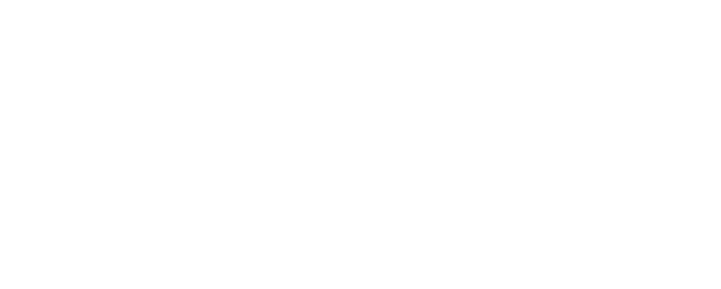 Logo Bolle Solar