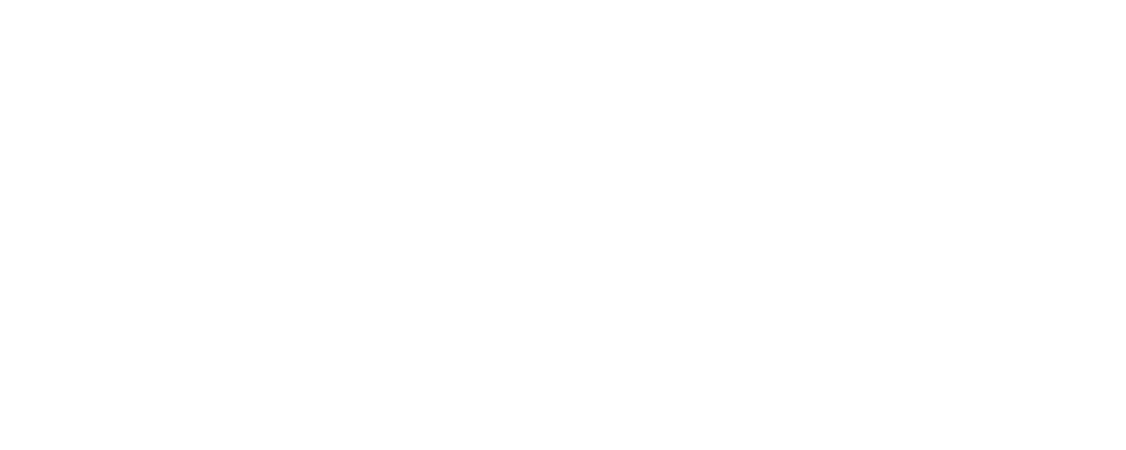 Logo Bolle Zonwering