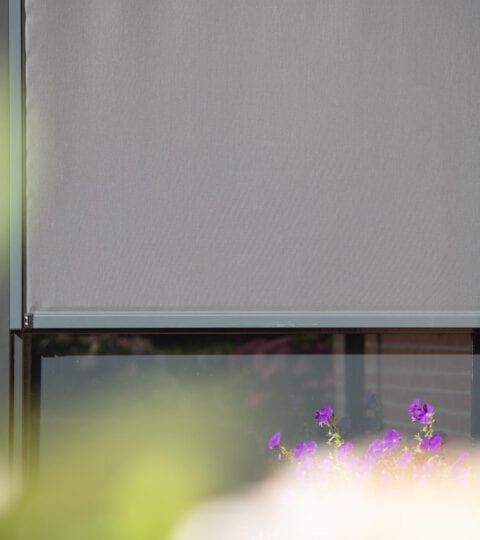 screens 8